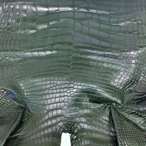 Forest Green Matte Alligator · 15041281 · 84cm - Image 3