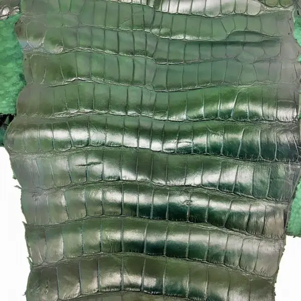 Forest Green Matte Alligator · 15041281 · 84cm - Image 2