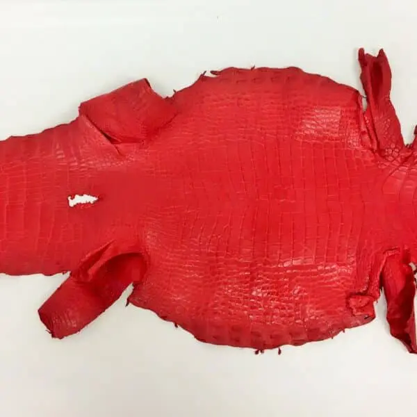 Red Matte Alligator · 17018260 · 38cm - Image 2