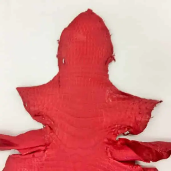 Red Matte Alligator · 17018260 · 38cm - Image 3