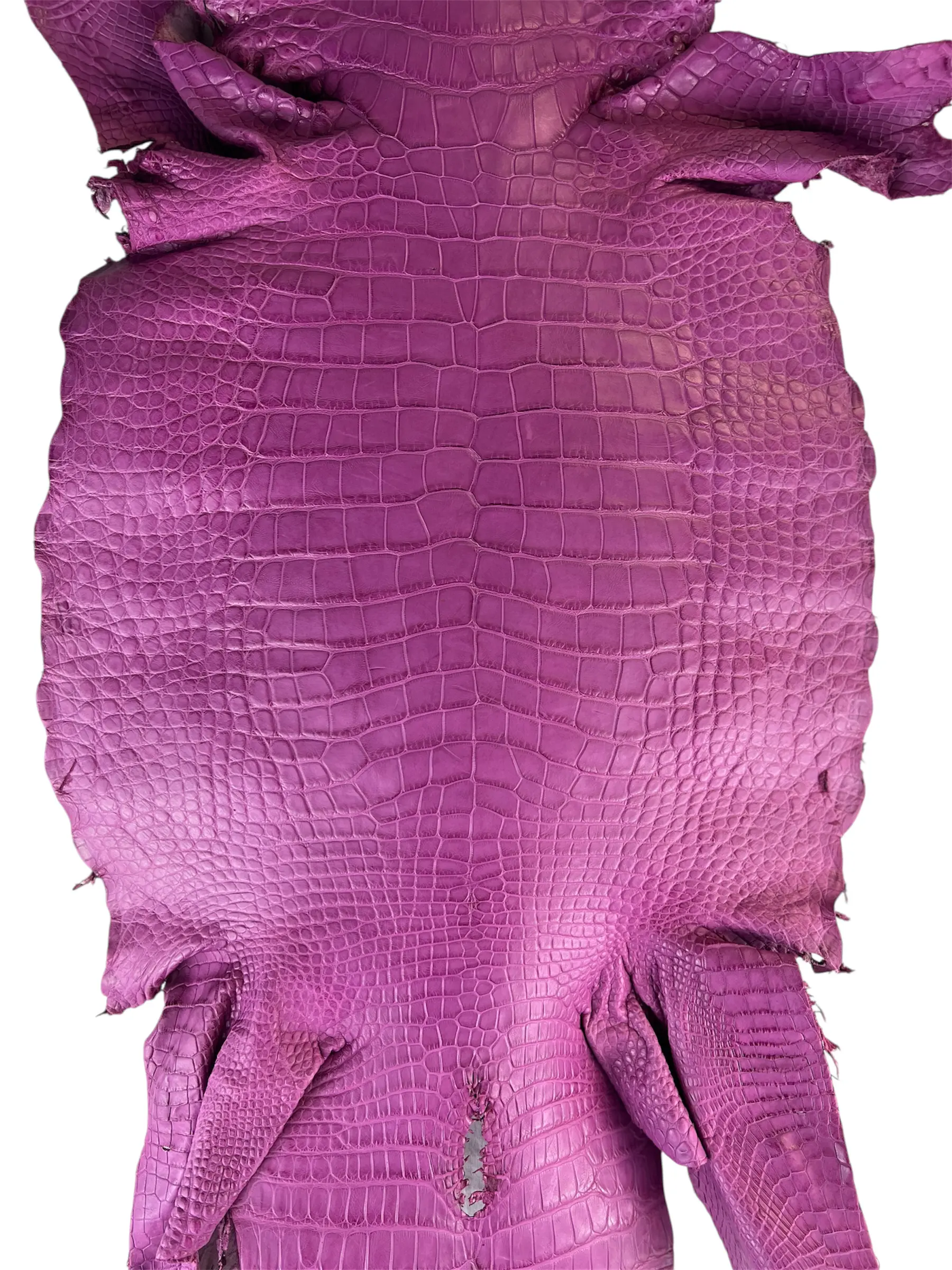 Magenta Matte Alligator · 17018363 · 39cm