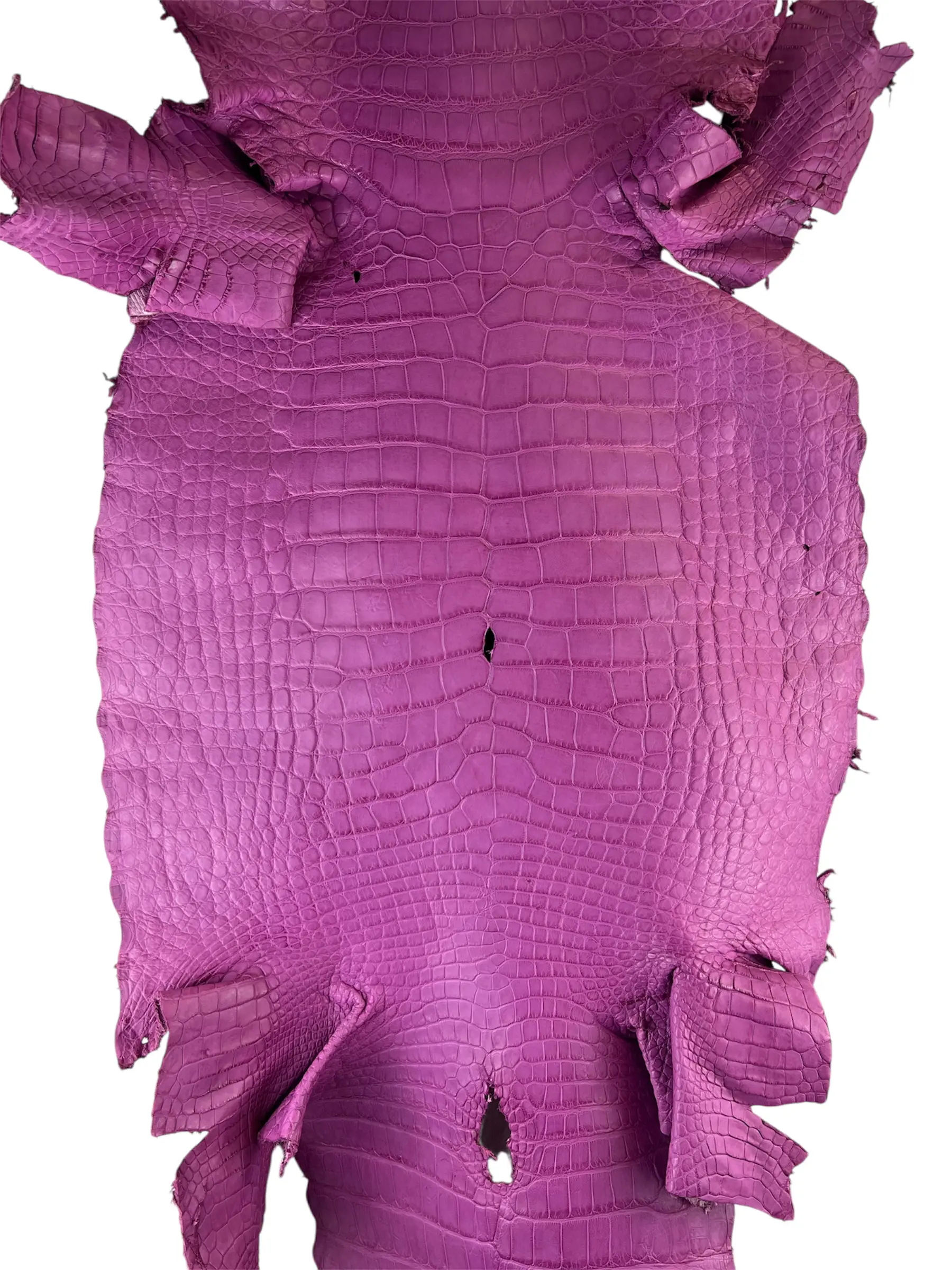 Magenta Matte Alligator · 17018411 · 52cm