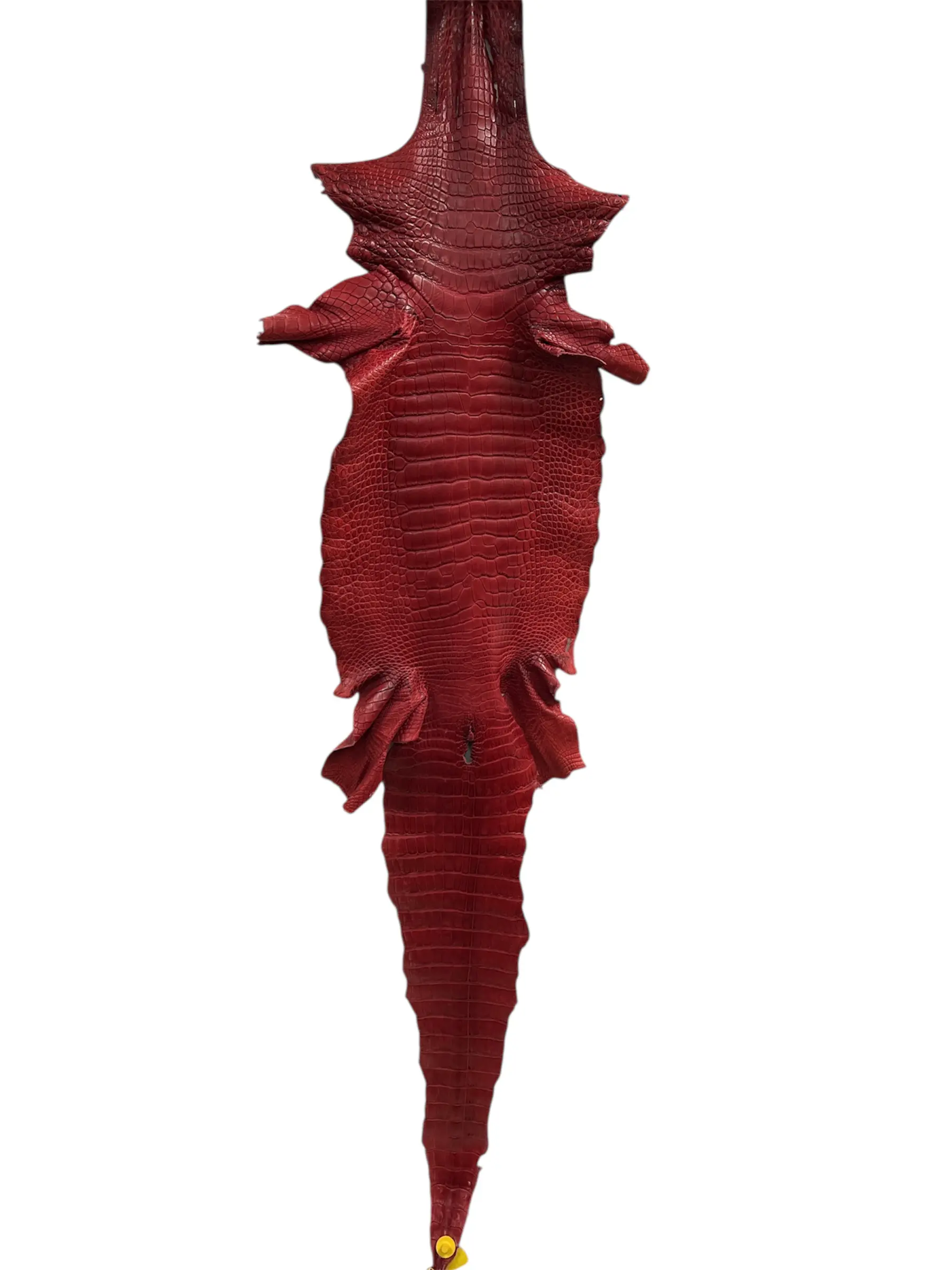 Red Matte Alligator · 16002471 · 37 cm