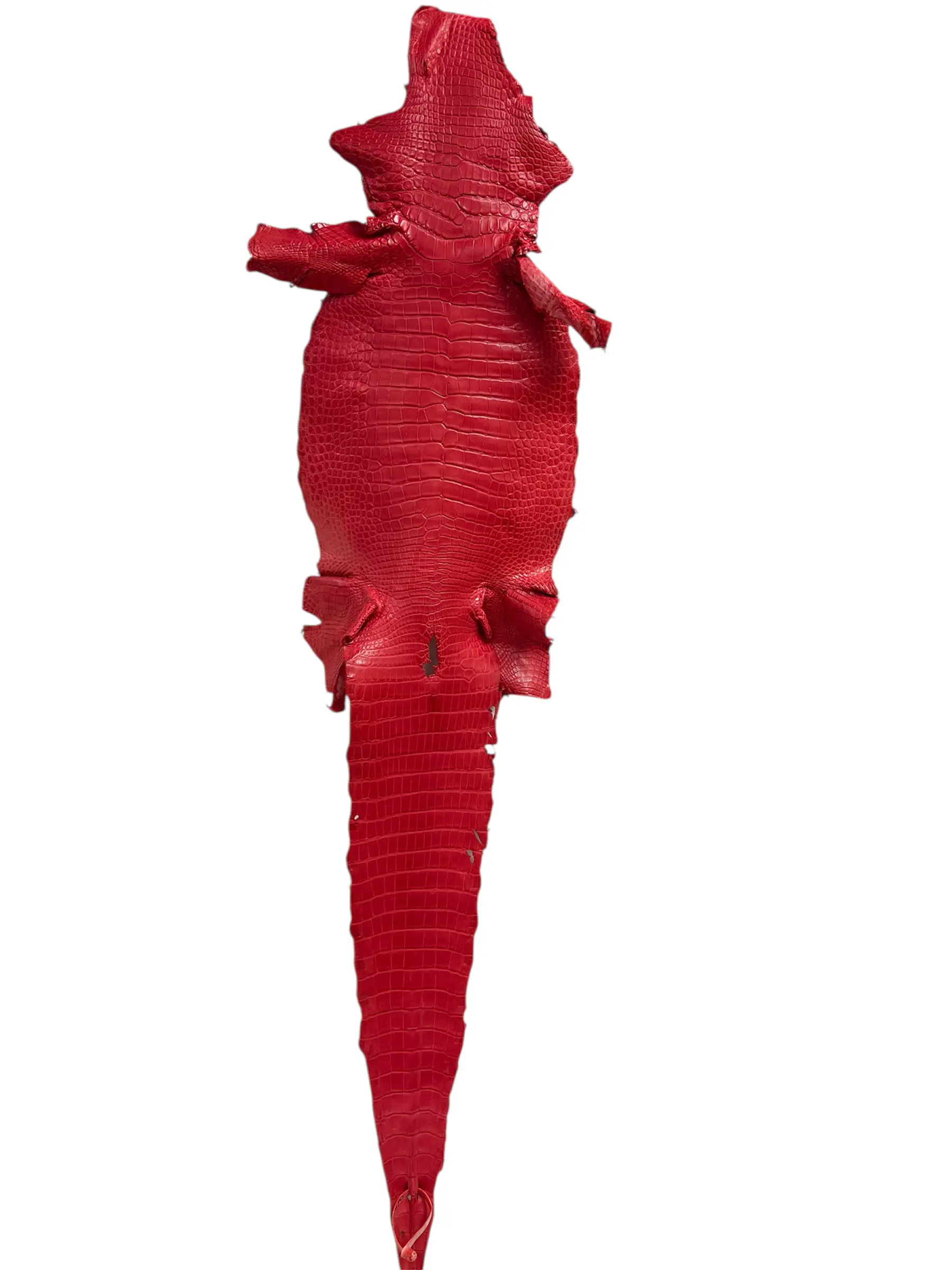 Red Matte Alligator · 17003170 · 33 cm
