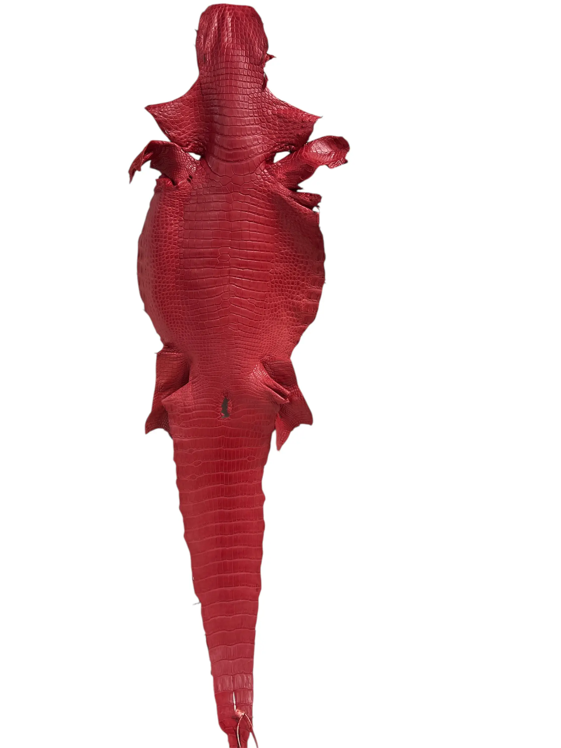 Red Matte Alligator · 17018260 · 38 cm