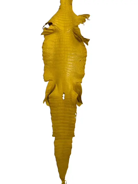 Yellow Matte Alligator · 22021907 · 33 cm