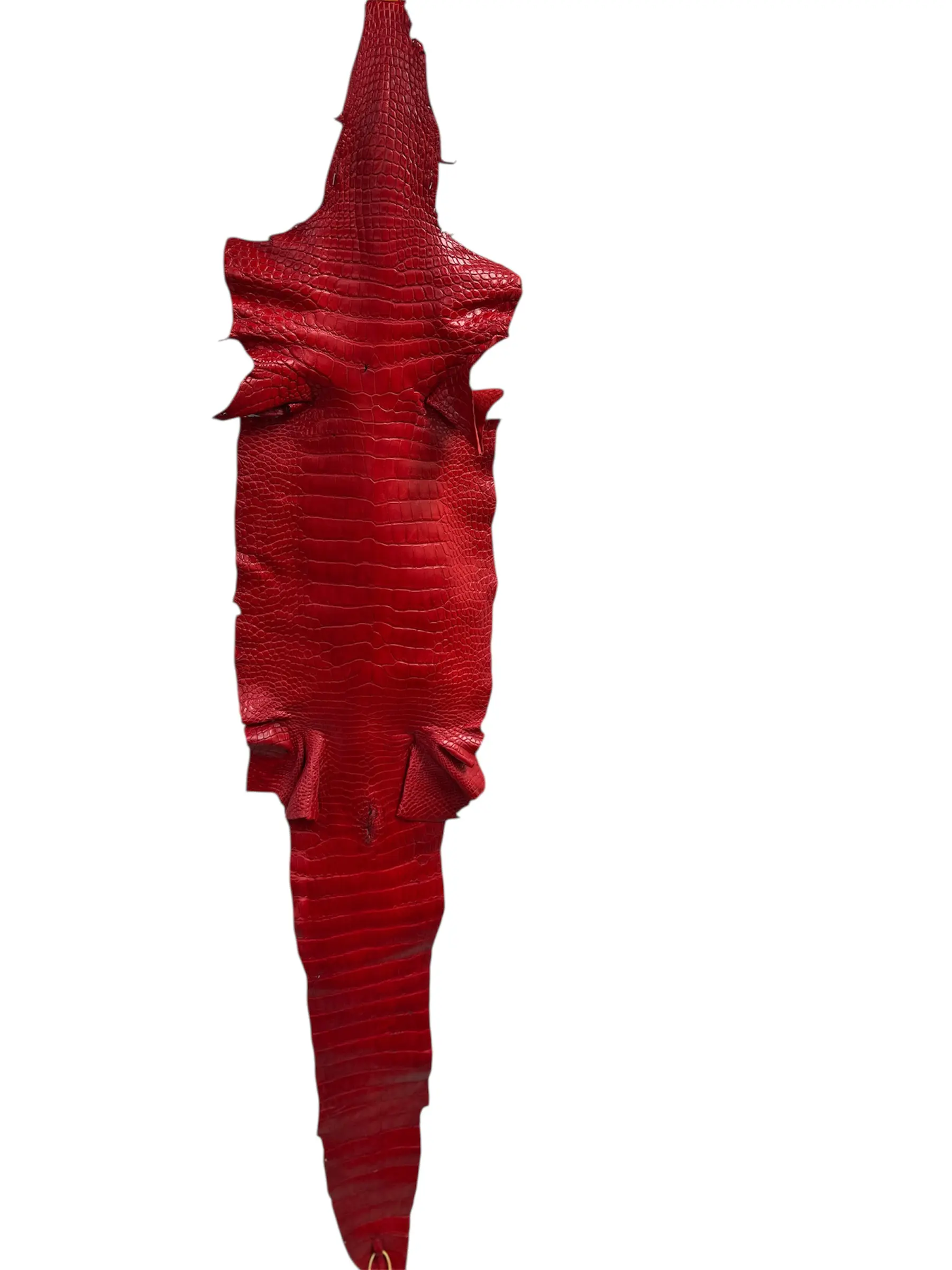 Red Matte Alligator · 22022864 · 36 cm