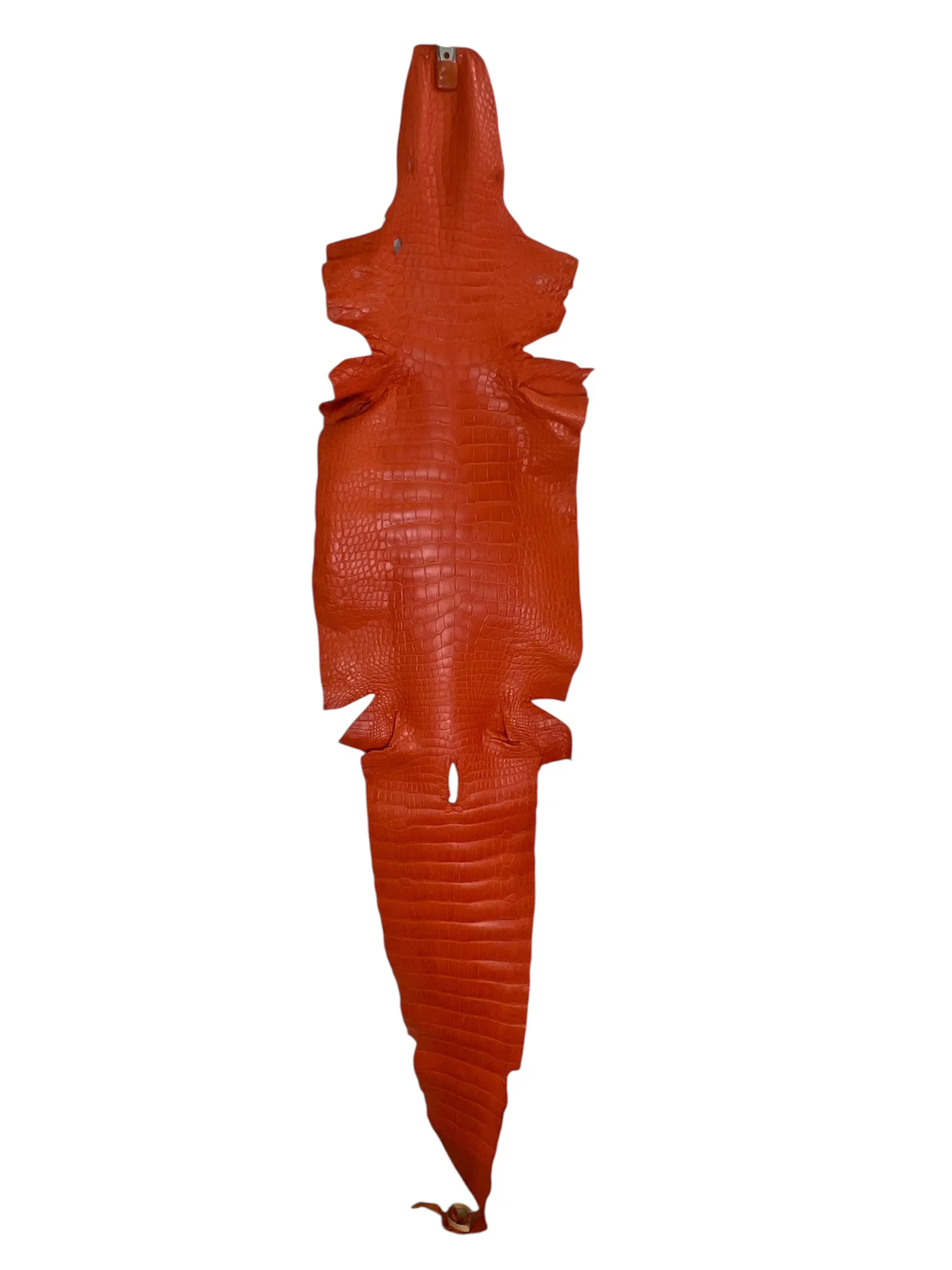 Orange Matte Alligator · 23000133 · 41 cm