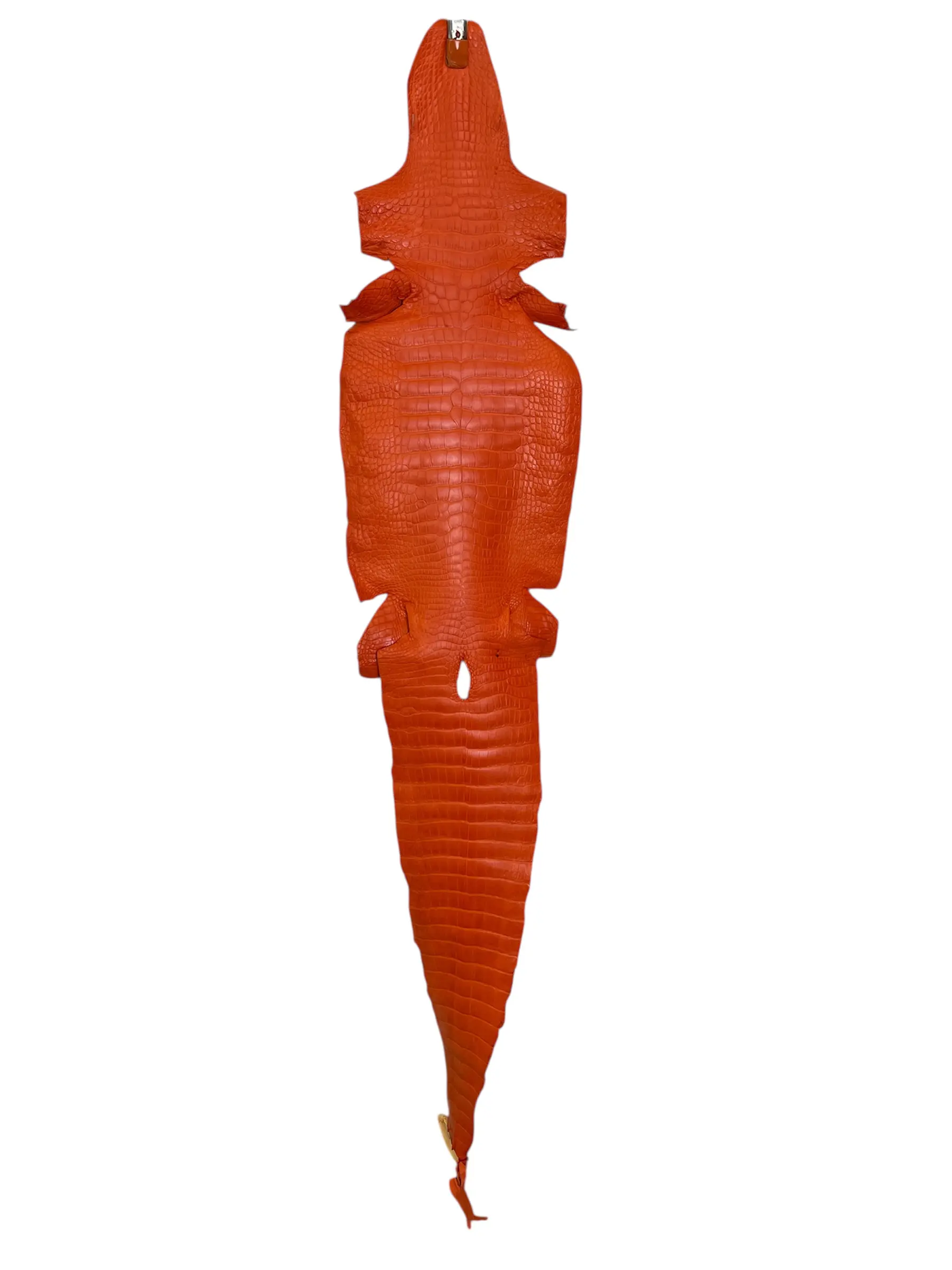 Orange Matte Alligator · 23014513 · 35 cm