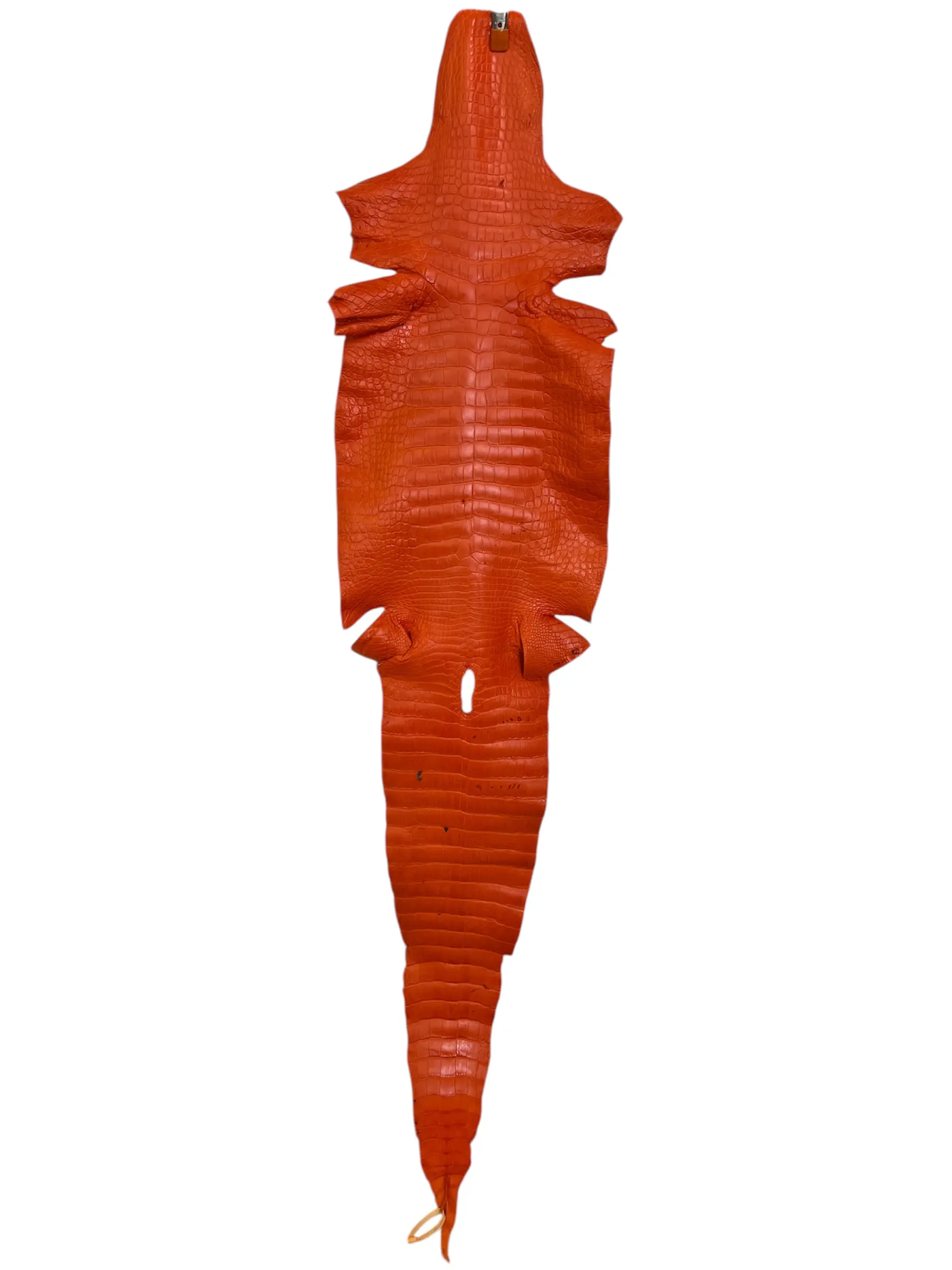 Orange Matte Alligator · 23017082 · 51 cm
