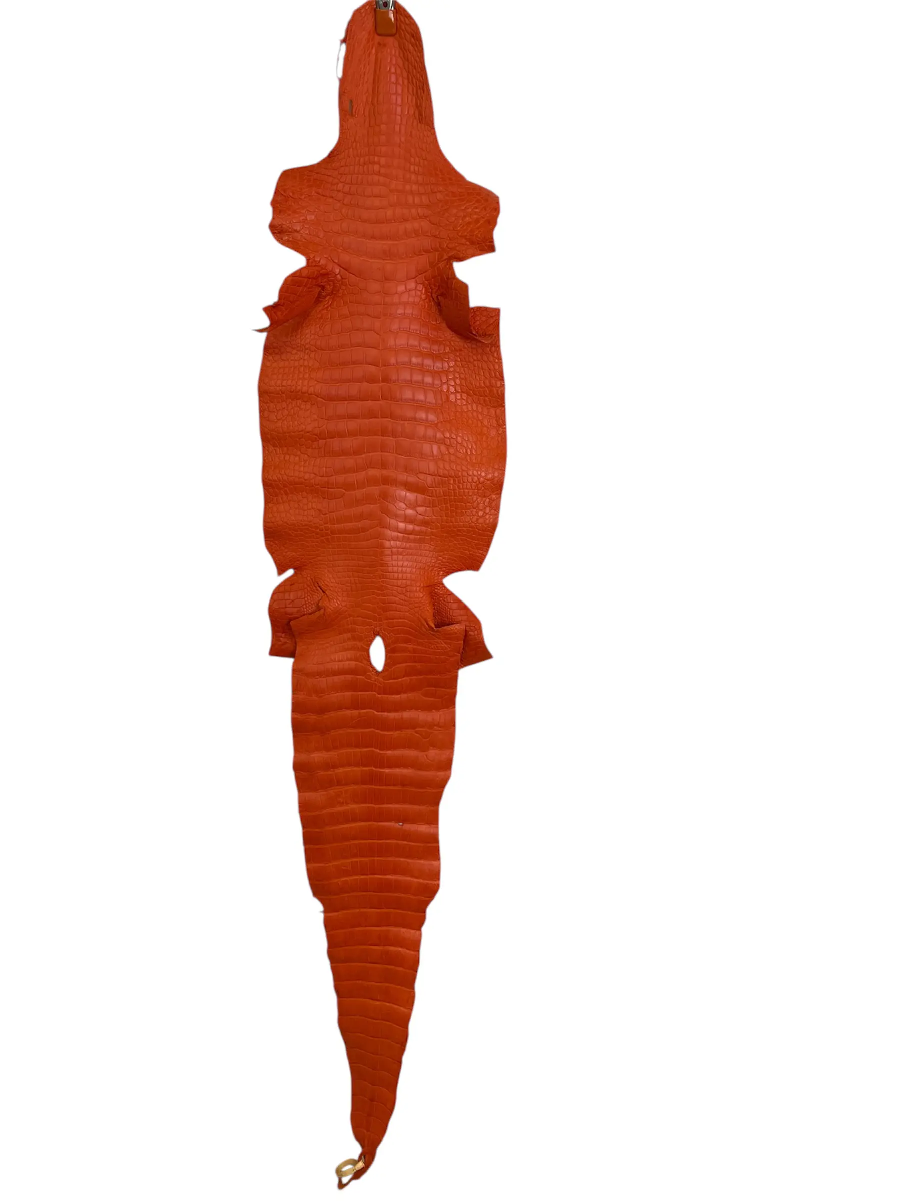 Orange Matte Alligator · 23017097 · 39 cm