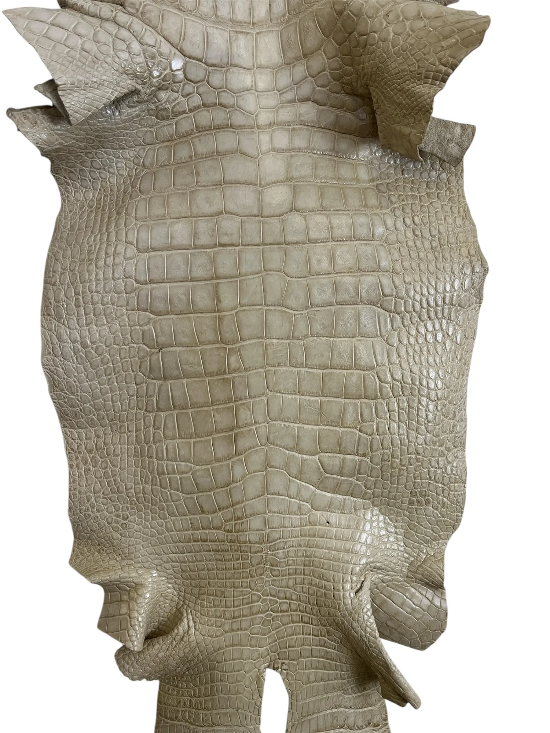 Bone Matte Alligator · 23017357 · 51 cm