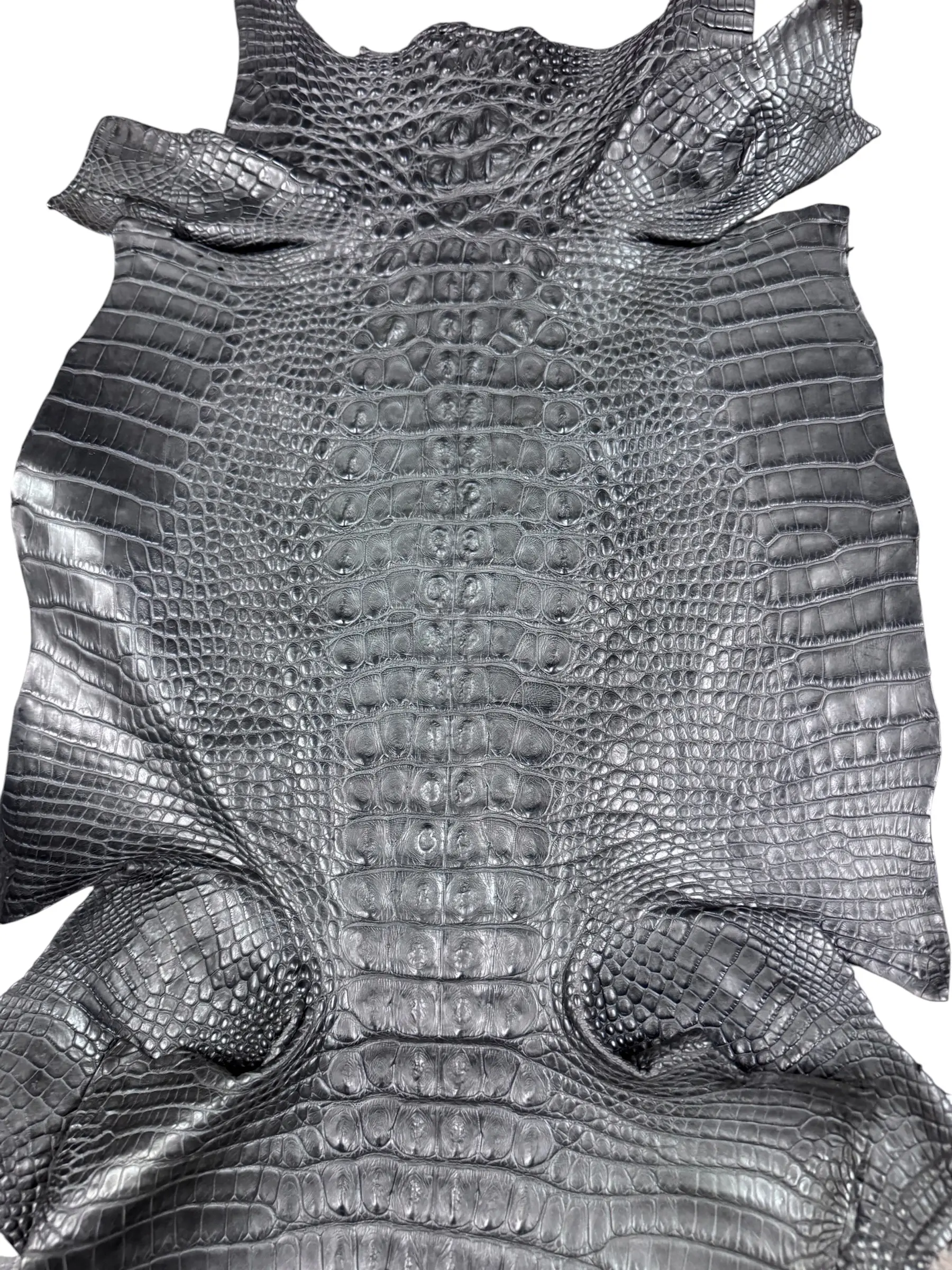 Black Matte Hornback Skin · 25079891 · 34 cm