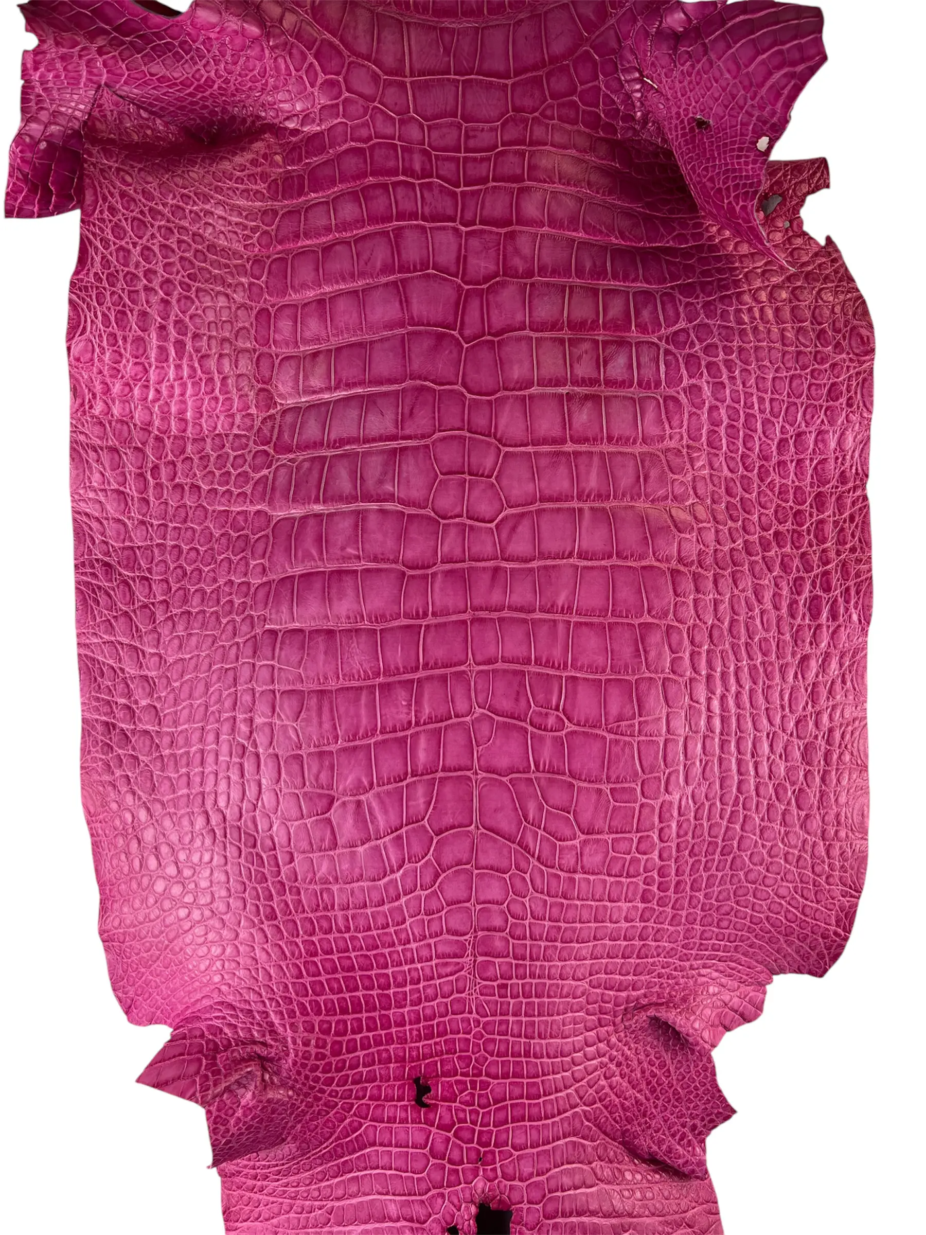Rosa Matte Alligator · 23017304 · 42cm