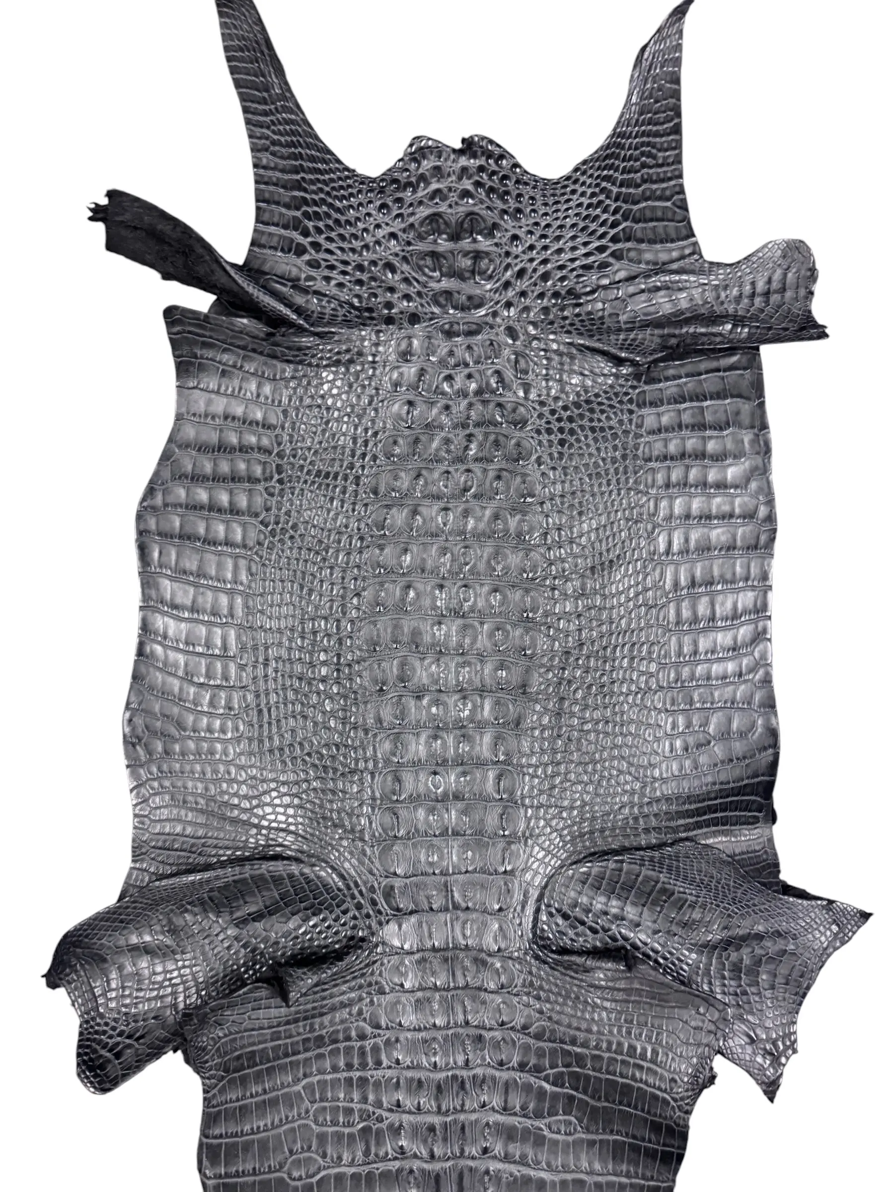 Black Matte Hornback Skin · 25079932 · 31 cm
