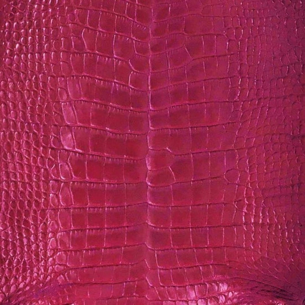 Burgundy Matte Alligator · 18042554 · 32cm