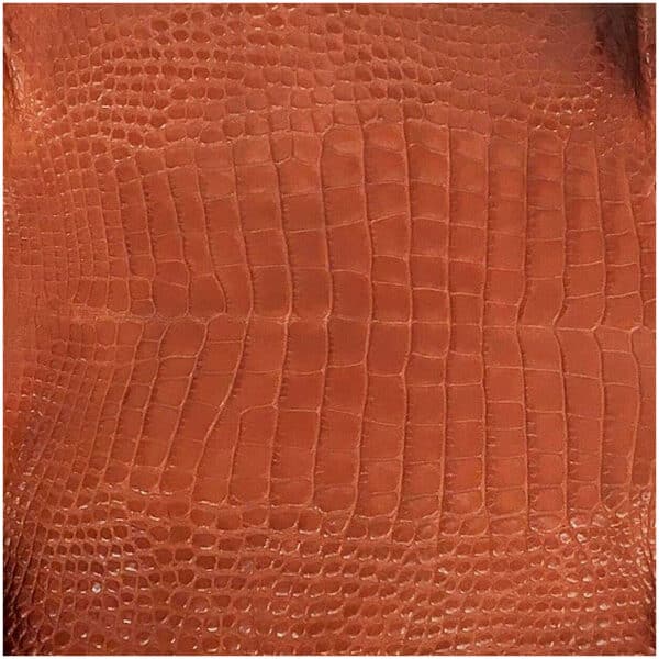 Belly Crocodile Skin – central all leather