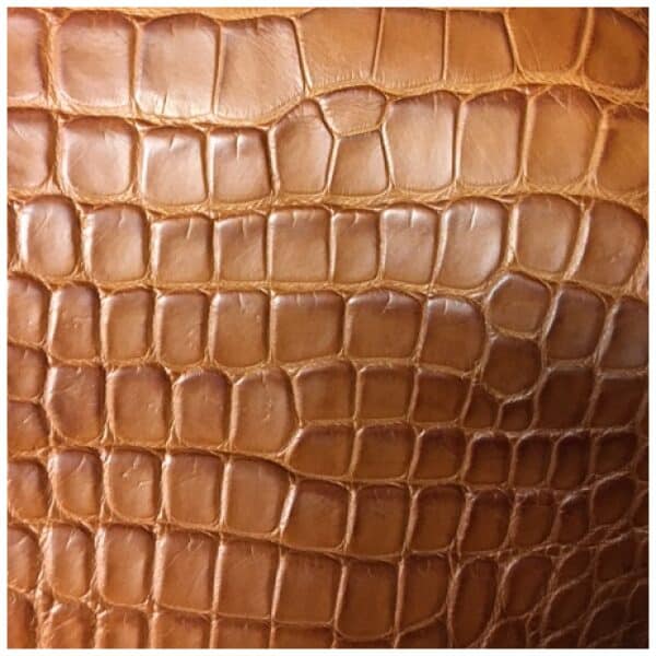 Burgundy Matte · Alligator Belly Cut Skin - Mark Staton, LLC