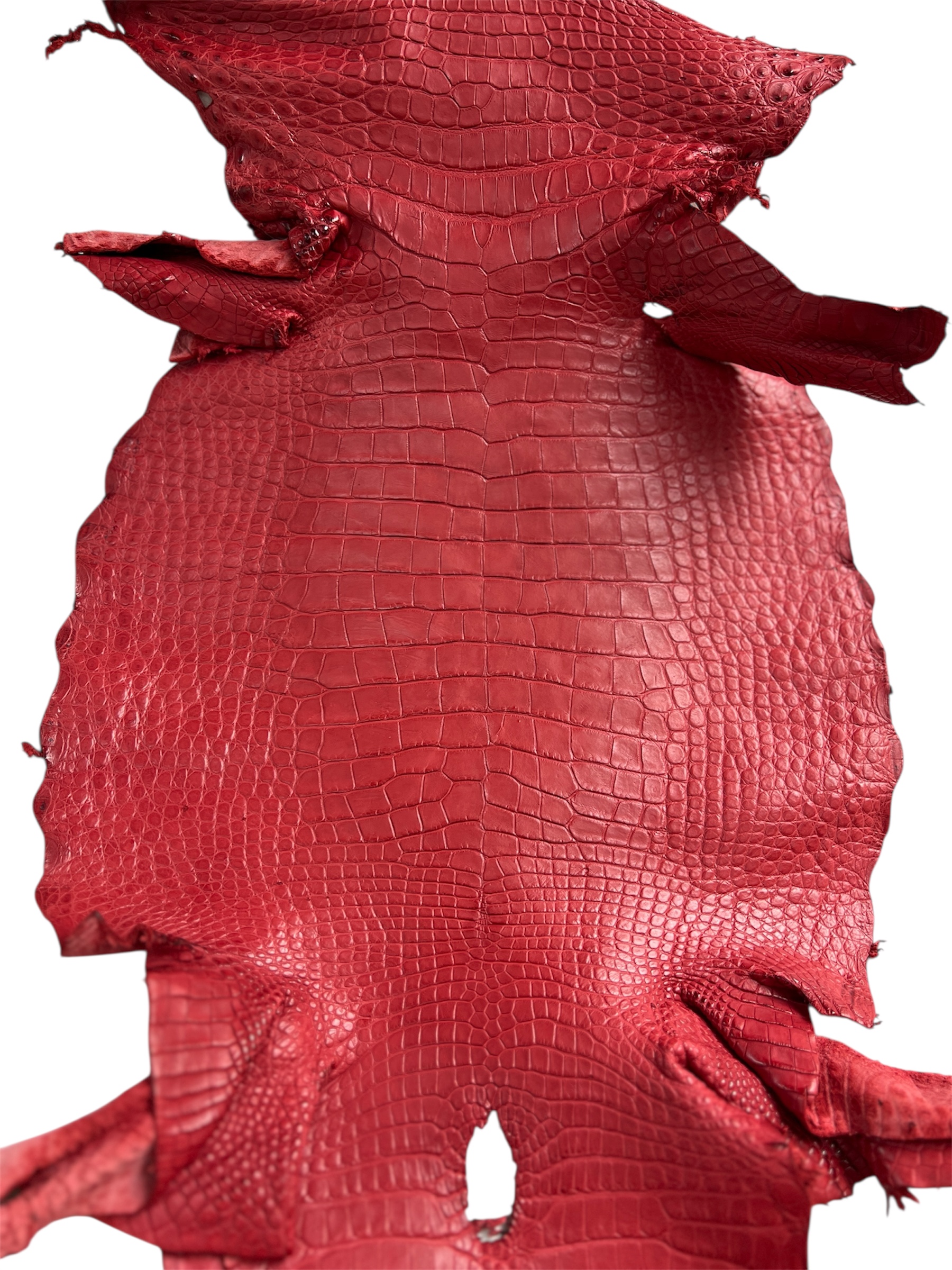 17052782-Red-Matte-33cm-B.jpeg