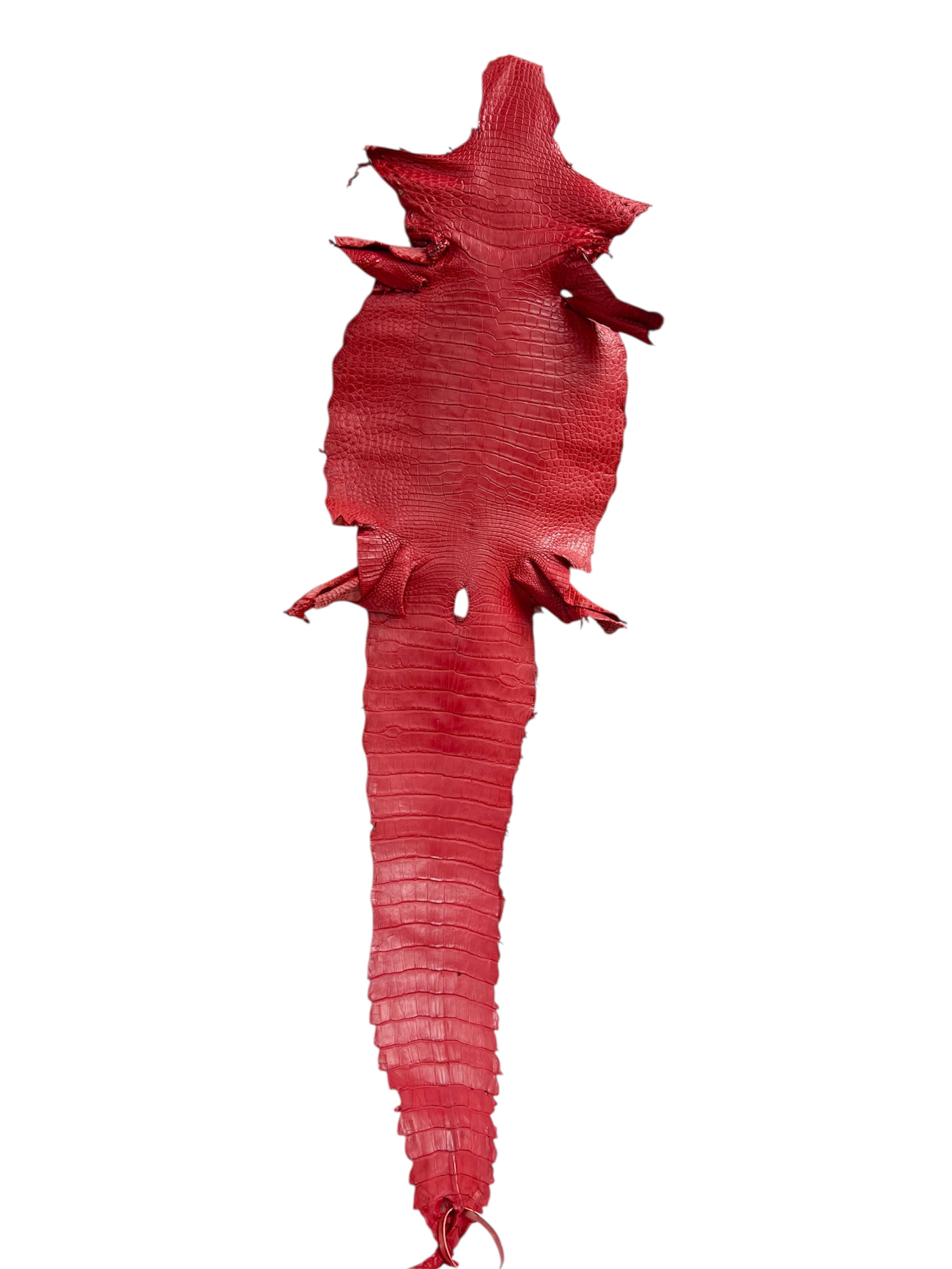 Red Matte Alligator · 17052782 · 33 cm - Mark Staton, LLC