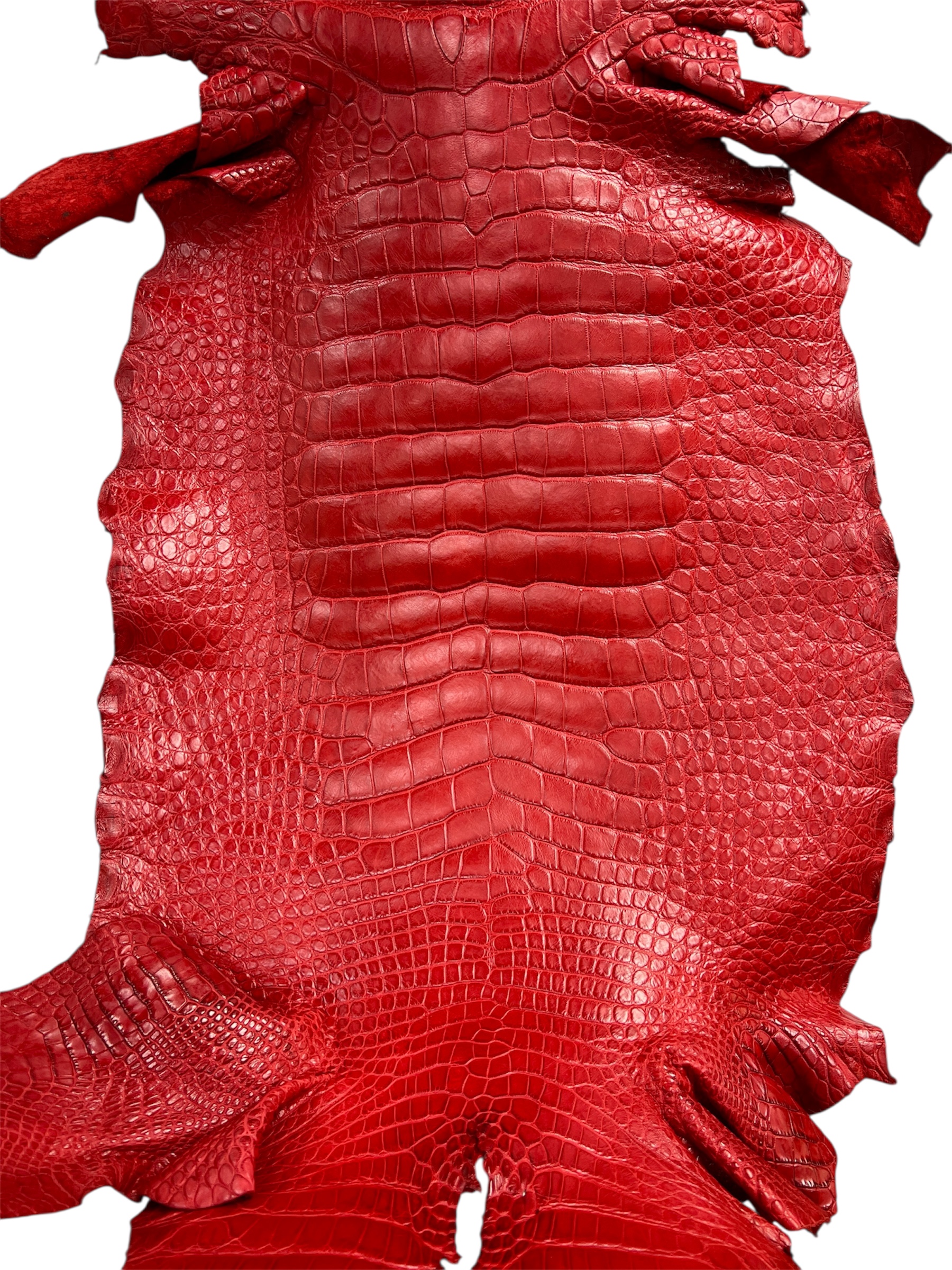 22004881-Red-Matte-48cm-B.jpeg