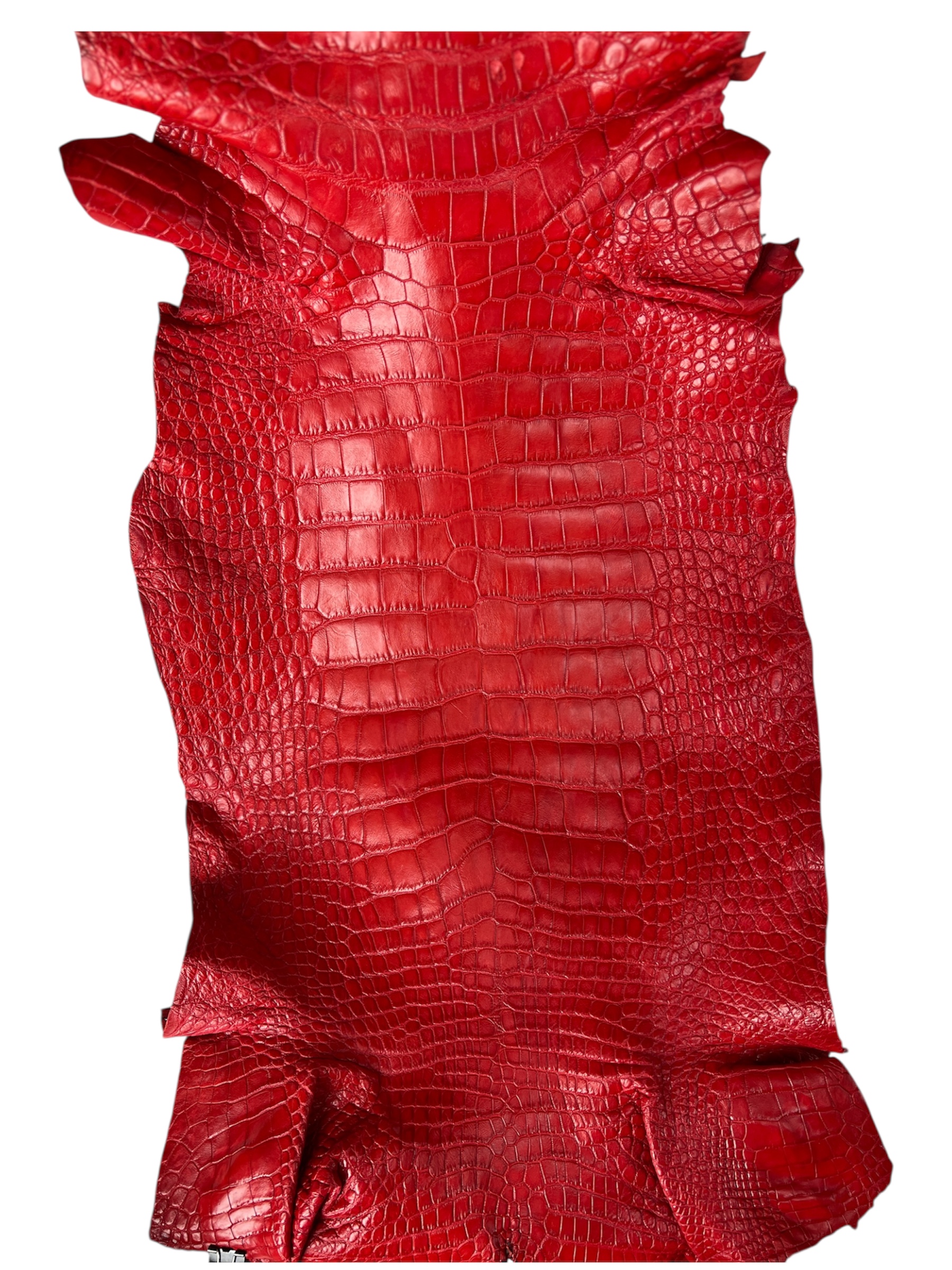 アリゲーター ショットスター マダイ20-210 ALLIGATOR 赤 美品 23001421-Red-Matte-37cm-B.jpeg