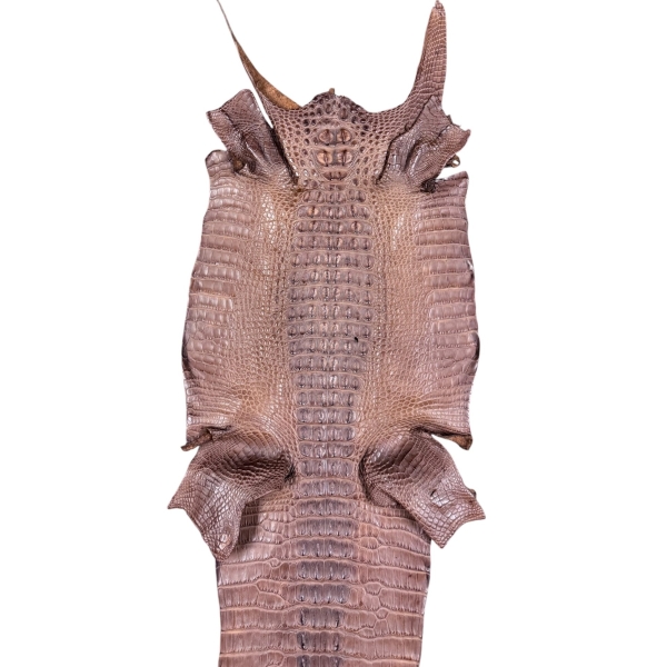 Cigar Matte Hornback Skin · 25079882 · 34 cm