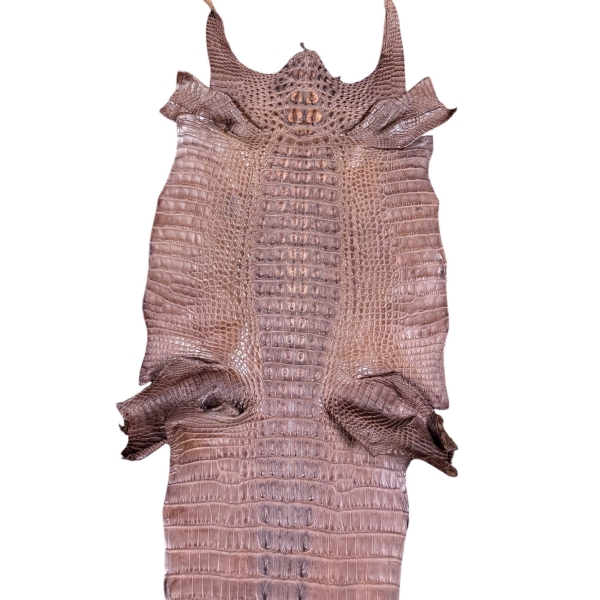 Cigar Matte Hornback Skin · 25079890 · 35 cm