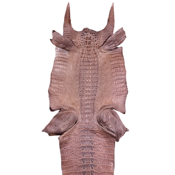 Cigar Matte Hornback Skin · 25079895 · 35 cm